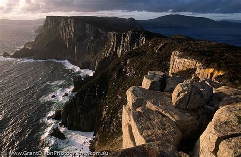 AUSTRALIA, Tasmania, Tasman National Park. | Tasman national park, Life ...