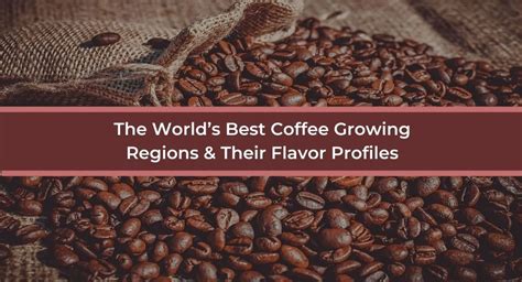 The World’s Best Coffee Growing Regions & Their Flavor Profiles