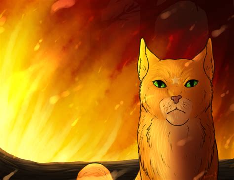 Firestar Warrior Cats by AbagailFlare on DeviantArt