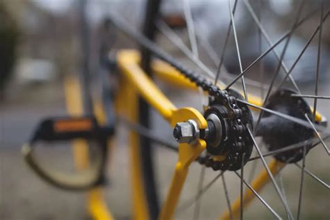 Can You Add Gears to a Cruiser Bike? [Plus Options on Adding Gears to a ...