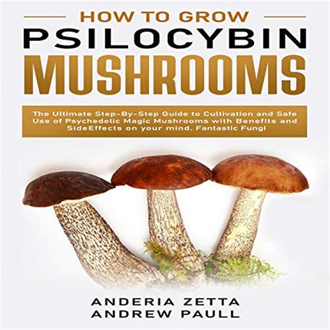 How to grow magic mushrooms at home without spores