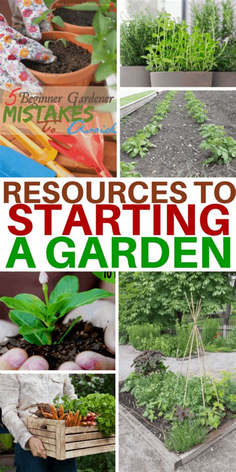 Starting a Garden: A Beginners Guide - The Happy Home Life