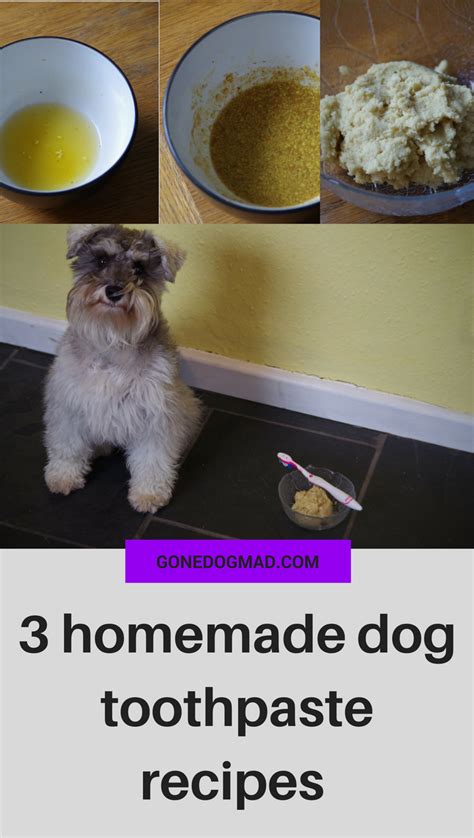 Dog Toothpaste Recipe, Homemade Dog Toothpaste, Homemade Dog Treats ...