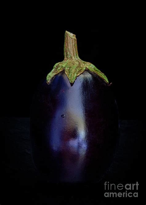 Dark Eggplant Photograph by Verena Matthew