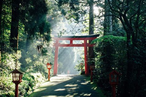 What is Torii Gate? Meaning, Types and Facts | Japan Wonder Travel Blog