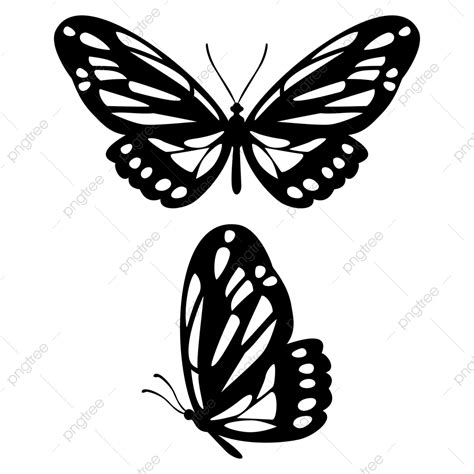 Butterflies Silhouette PNG Images, Butterfly Silhouette Vector Illustration, Butterfly Drawing ...