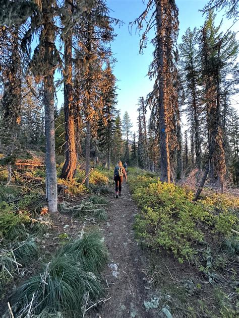 Mount Spokane State Park - Upper Trail 140 — Washington Trails Association