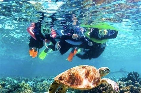 Roatan Honduras Snorkeling Adventure