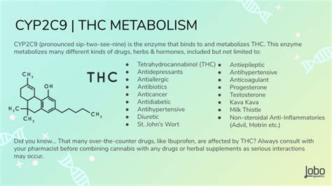 THC + CBD METABOLISM - GreenPort Cannabis