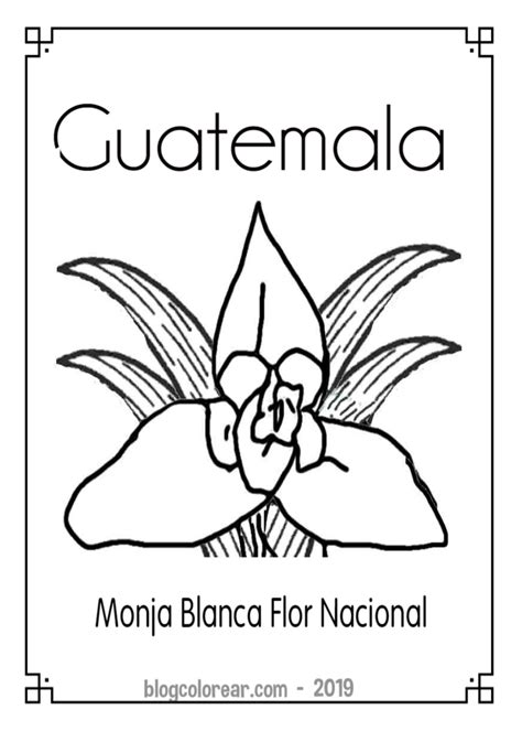 Colorear dibujo Monja Blanca flor de Guatemala - Colorear dibujos infantiles