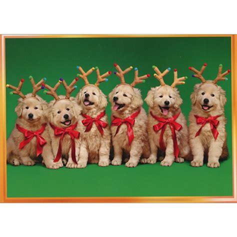 Row of Reindeer Puppies Wearing Antlers Box of 10 Cute Golden Retriever Christmas Cards ...