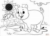 20 Free Pig Coloring Pages For Kids And Adults sketch template