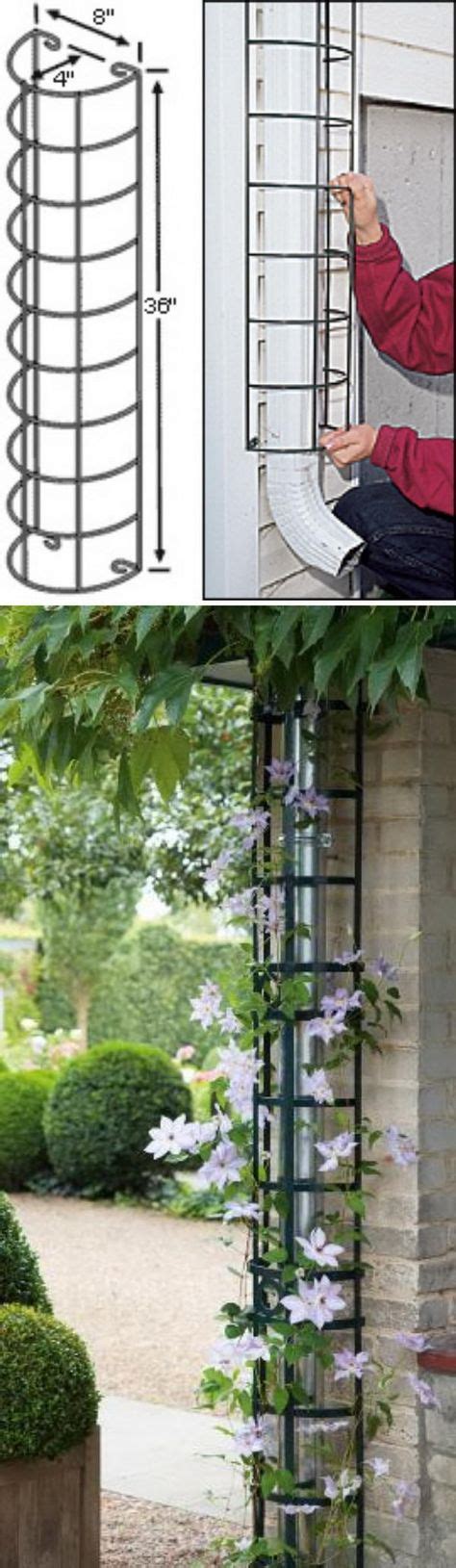 12 Best clematis trellis images in 2020 | Clematis trellis, Garden ...