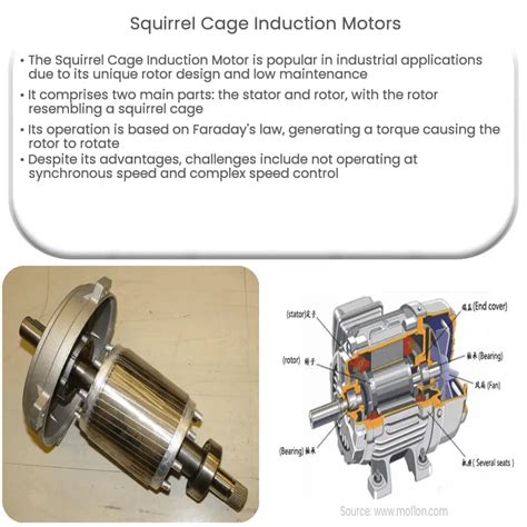 Squirrel Cage Induction Motors | How it works, Application & Advantages