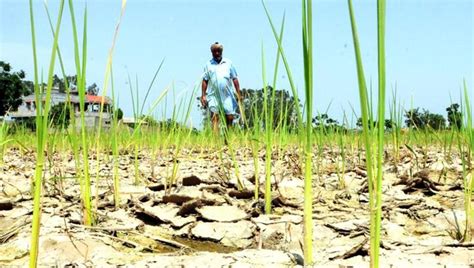 12 districts in Maharashtra stare at drought this year - mumbai news ...