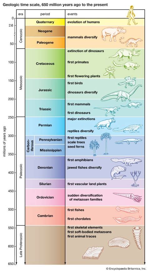 Geologic time | Periods, Time Scale, & Facts | Britannica