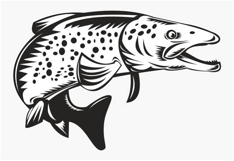 Brook Trout Sea Trout Clip Art - Spotted Fish Outline , Free Transparent Clipart - ClipartKey