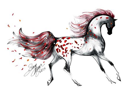 Appaloosa Rose Petals Horse Digital Art by Stacey Mayer