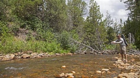 Jarbidge River | Best Fishing in Nevada | Travel Nevada