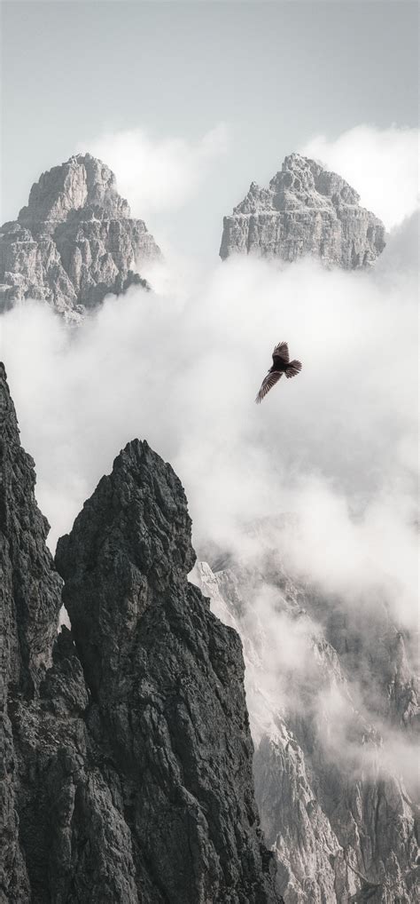 1242x2668 Bald Eagle Flying Through Clouds And Mountains 4k Iphone XS ...