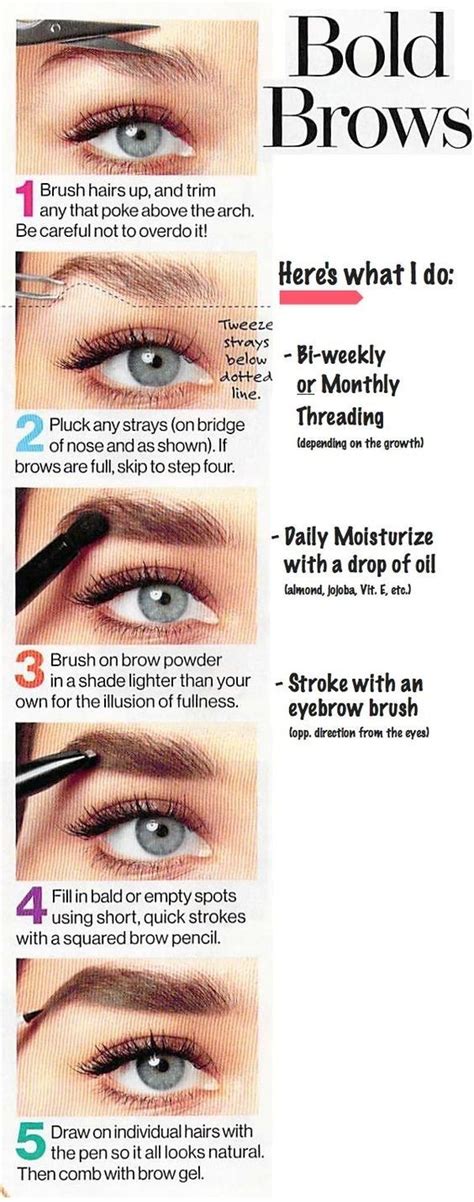 How To Grow Eyebrows Fast Naturally Overnight Grow Back