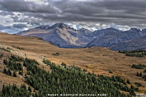 Alpine Tundra Ecosystem of Rocky Mountain National Park Colorado [OC ...