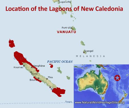 Lagoons of New Caledonia: Reef Diversity and Associated Ecosystems ...