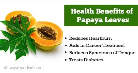 Health Benefits Of Papaya Leaves