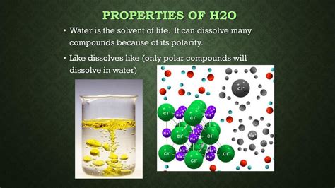 Intro to Biochemistry What do you think is the cause behind these bird ...