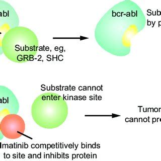 (PDF) Role of imatinib in the management of early, operable, and ...