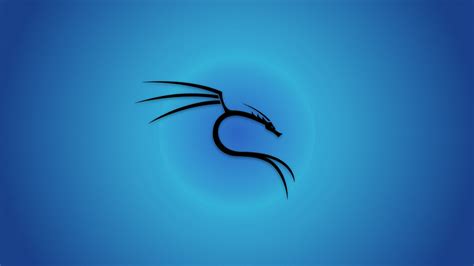 Kali Linux 2021.2 released with new tools, improvements, and themes