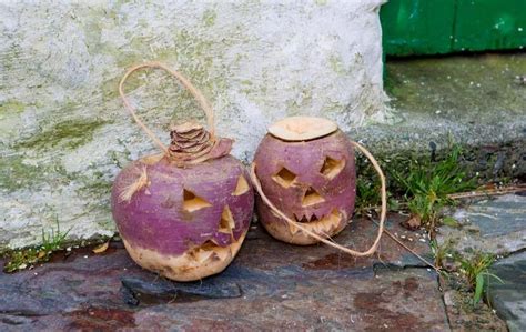 The Halloween Turnip: An American History - Urban Organic Gardener