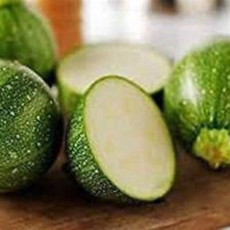 Zucchini Round Zucchini Squash Seeds Heirloom NON GMO - Etsy