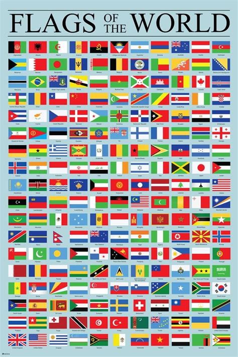 Amazon.com: Flags of the World Classroom Reference Chart National ...