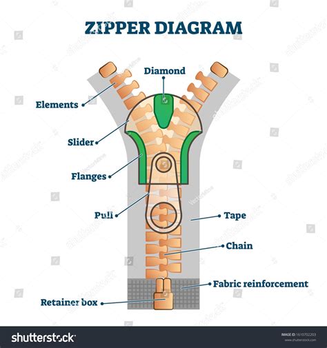 Zipper diagram vector illustration. Detailed educational scheme with titles. Part names ...