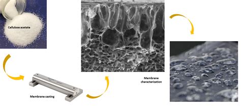 Polymers | Free Full-Text | Synthesis and Characterization of Blended Cellulose Acetate Membranes