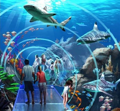 Mississippi Aquarium sets opening date of April 30, 2020 - Vicksburg Daily News