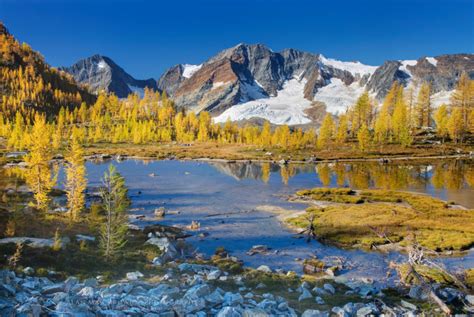 Monica Meadows Purcell Mountains British Columbia - Alan Majchrowicz ...