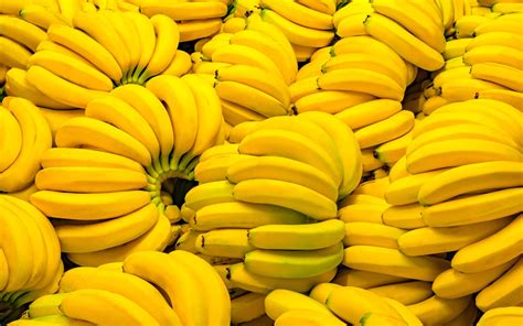 Ripe vs. Unripe Bananas: Which are Better for You? - One Green Planet | Banana lovers, Benefits ...