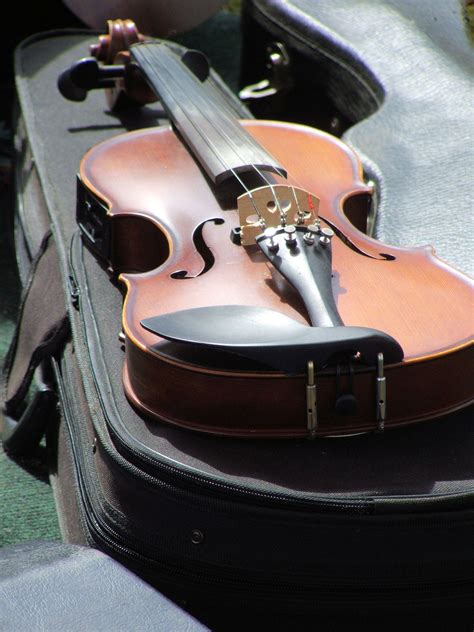 Violin Free Stock Photo - Public Domain Pictures