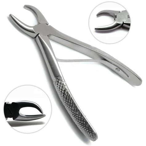 Tartar Forceps Calculus Remover Tooth Scraper 4.5" Dental Veterinary ...