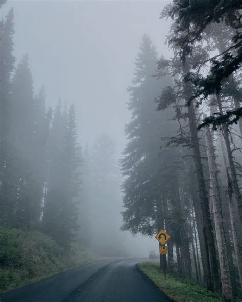 foggy weather on Tumblr