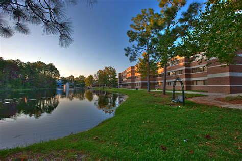 Student Bridge