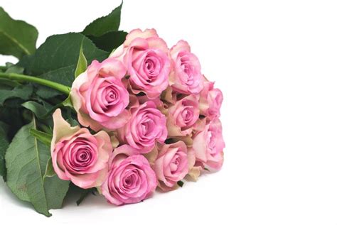 25 Best Mothers Day Flowers Ideas