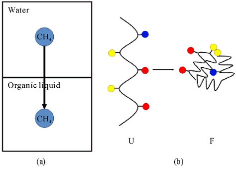 Figure 1 from The Rise and Fall of the Hydrophobic Effect in Protein ...