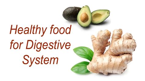 Healthy food for Digestive System | foods good for digestive system ...