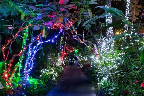 [2023] 40+ Best Christmas Lights in San Diego With Map - SoCal Field Trips