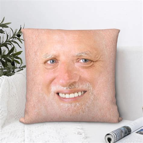 Meme Decorative Pillow | Hide Pain Harold | Meme Cushion Covers | Meme ...