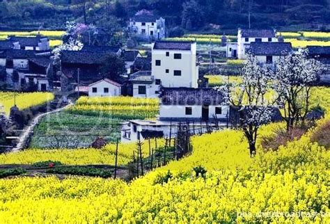 China Countryside - SkyscraperCity