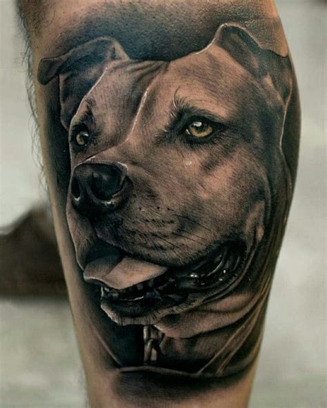 List 5 tattoo of a pitbull best - BSS news